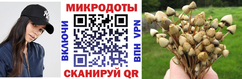 Псилоцибиновые грибы Magic Shrooms  darknet как зайти  Нарткала  цены  